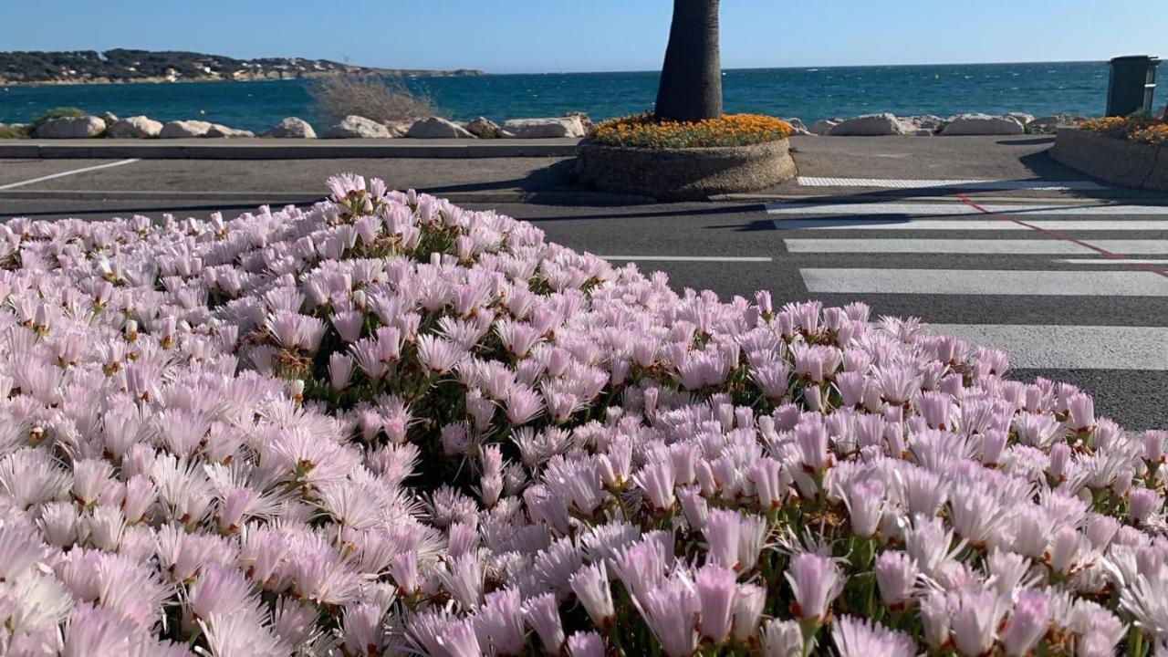 Les Appartements De La Marina ซานารี-ซูร์-แมร์ ภายนอก รูปภาพ