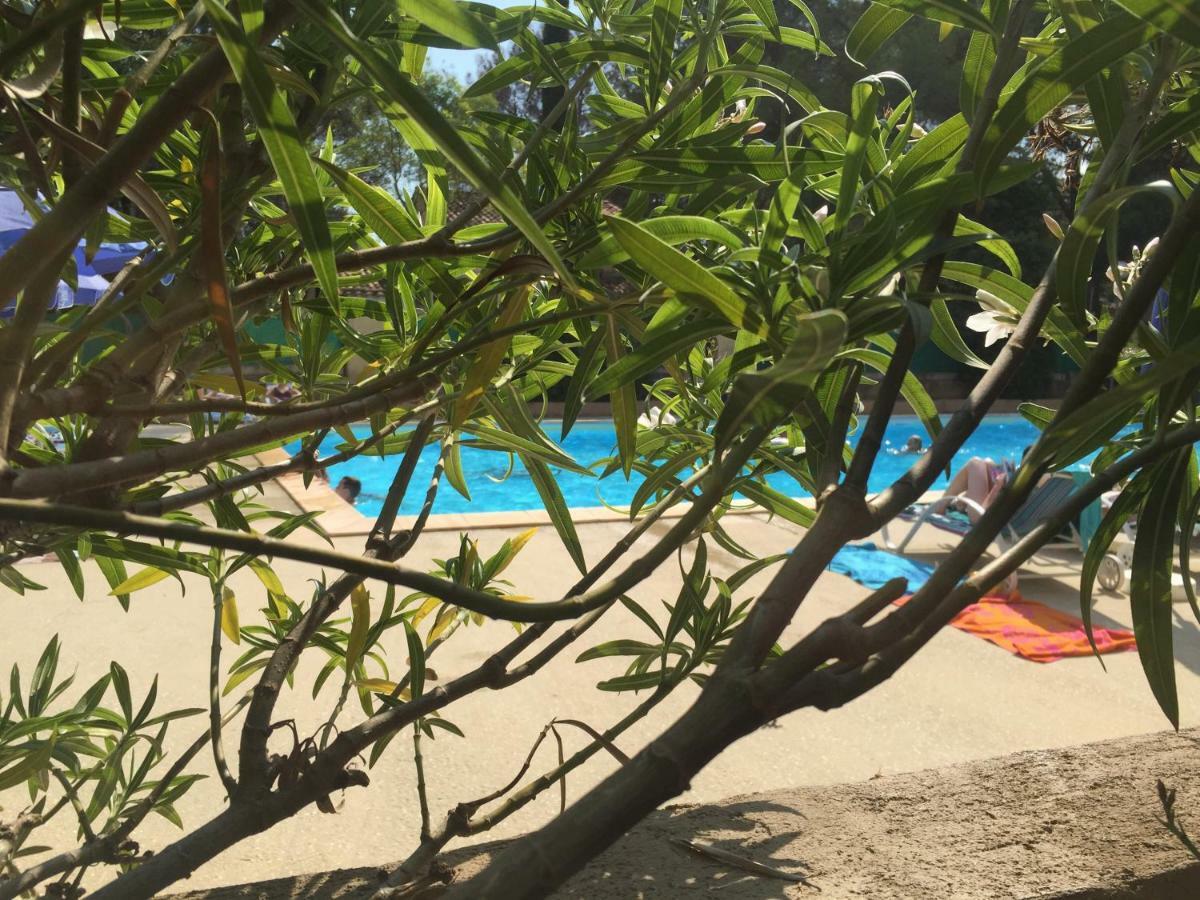 Les Appartements De La Marina ซานารี-ซูร์-แมร์ ภายนอก รูปภาพ